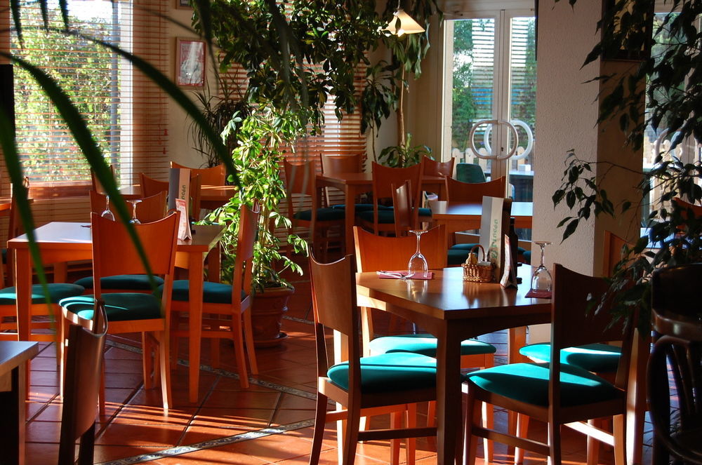ホテル Ibis Jerez De La Frontera Cadiz エクステリア 写真